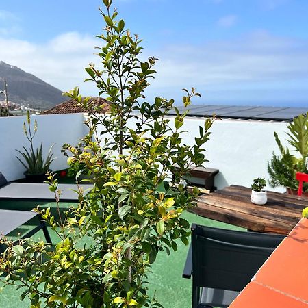 The Little Brezo Stone Home Tenerife Los Realejos Exteriör bild
