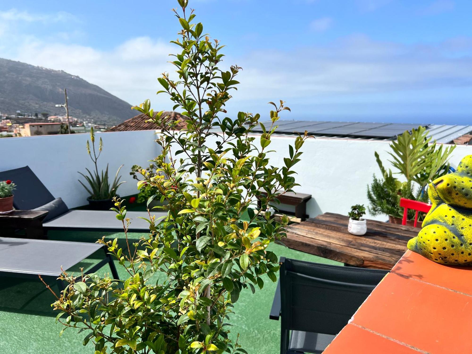 The Little Brezo Stone Home Tenerife Los Realejos Exteriör bild